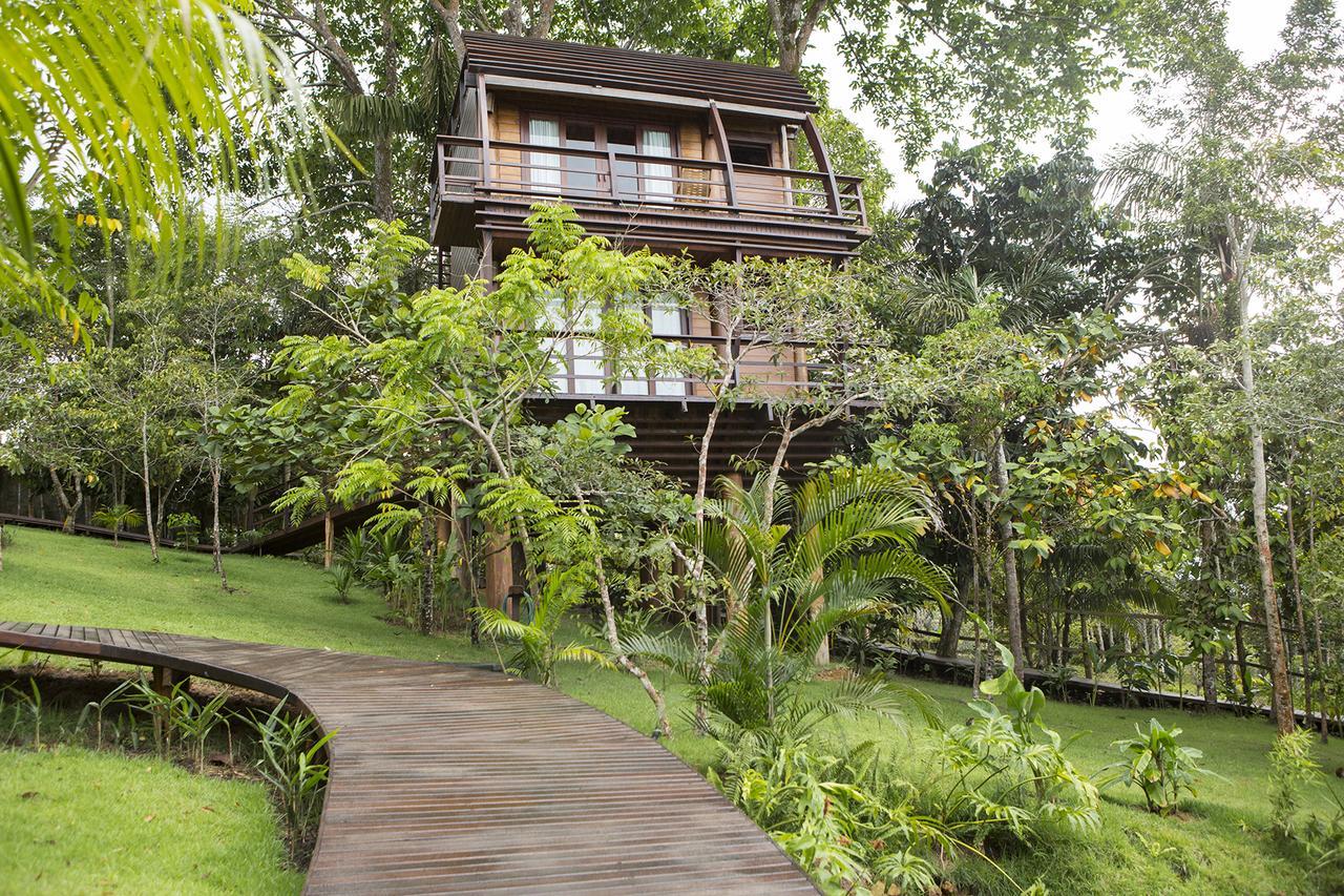 Mirante Do Gaviao Amazon Lodge Novo Airão Eksteriør billede